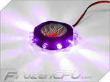 FrozenCPU RingPuk 10 LED Lighting Module - UV - Digital Outpost LLC